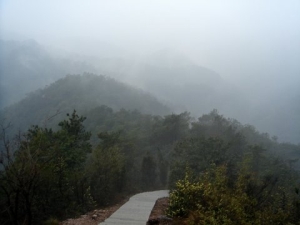 Mountainwalk3.JPG