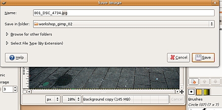 gimp_ws_16_save.jpg