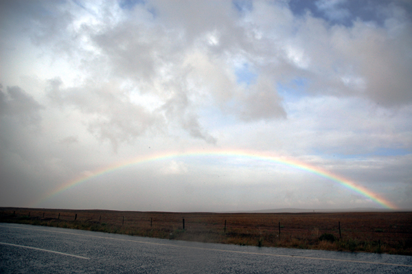 Regenboog