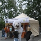 WWF: Red de ijsbeer in Bredene