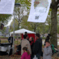 De baobab en zijn buren in A&#039;pen Noord op Stuivenbergplein