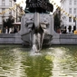 DSC8182.jpg