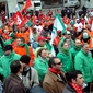 DSC_3499_500.JPG