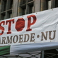 IMGP4260.JPG