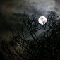 De maan is solidair tijdens de nacht van de duisternis