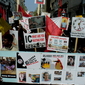 P1010682_resize.JPG