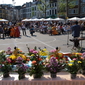 P5070945_resize.JPG