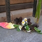 PICT0123.JPG