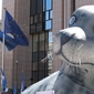 [Fotoreportage] Protest tegen zeehondenjacht in Brussel