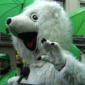 [Video] 3500 betogers op klimaatactiedag in Brussel