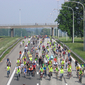 cortege_A12 bis.jpg
