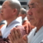GekkeKoe.JPG