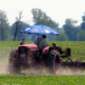 farmerFAO.jpg