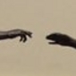 vredesweekDSCF0925.jpg