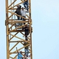 Mensen zonder papieren in zes hijskranen hoog boven Brussel (+ foto&#039;s)