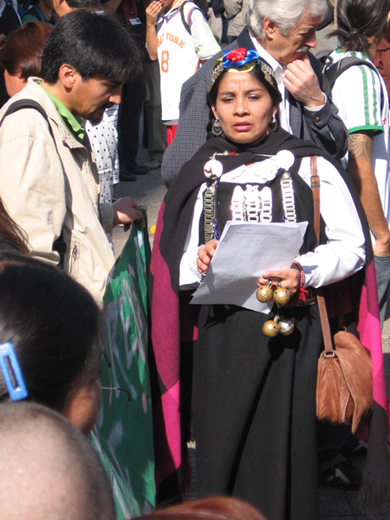 06_Mujer_Mapuche.jpg