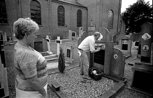 Click to begin slideshow 195_19.jpg