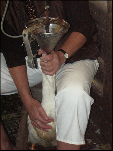 2006-10-17 009.jpg