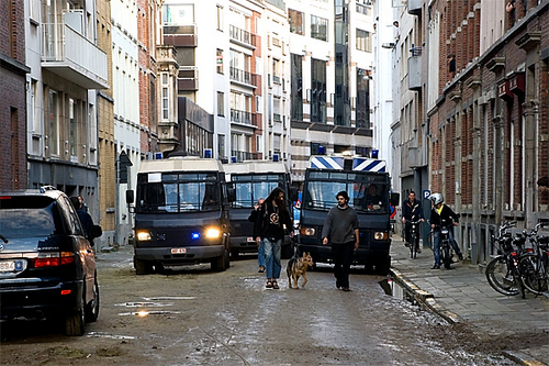 25.jpg