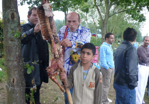Click to begin slideshow BA-mes-4.gif
