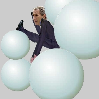 Bush_01.jpg Bush_01.jpg
