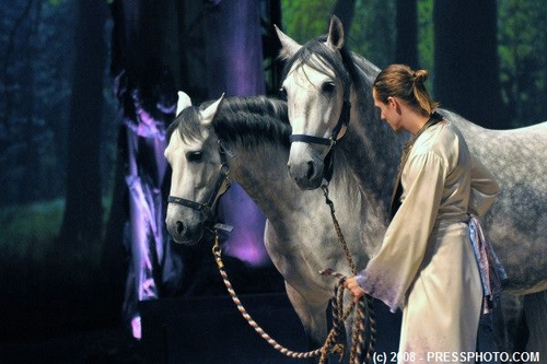 Cavalia_026.JPG