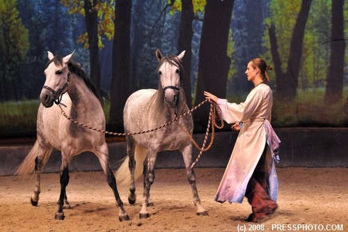 Cavalia_027.JPG