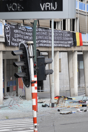 Click to begin slideshow D3-DSC_2094_666 copy.jpg