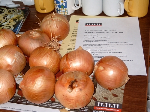 DSC00011.jpg
