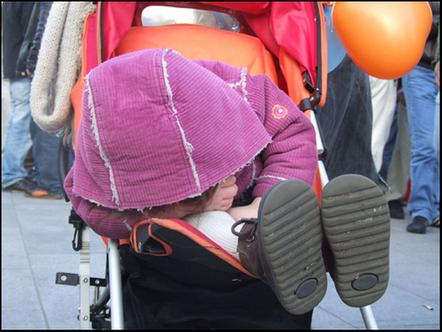 Click to begin slideshow DSCF2779.jpg