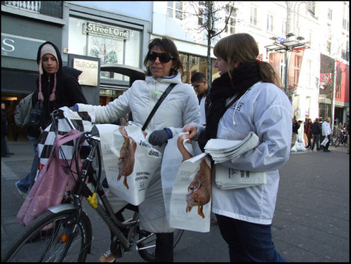 DSCF2906.jpg
