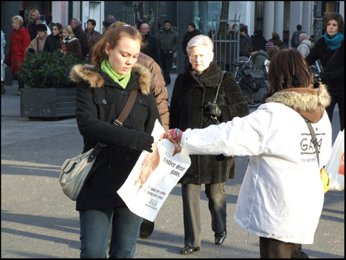 DSCF2973.jpg