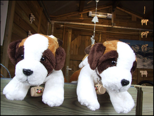 Click to begin slideshow DSCF4125.jpg