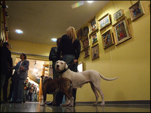 Click to begin slideshow DSCF6201.jpg