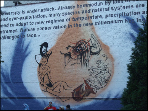 DSCF6487.jpg