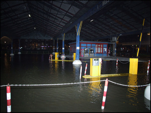 DSCF8416.jpg