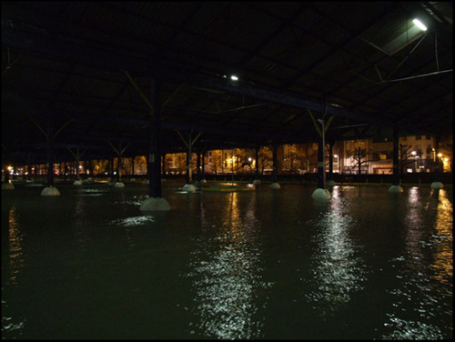 DSCF8424.jpg