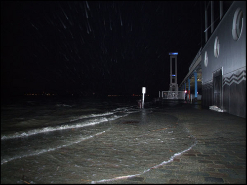 DSCF8523.jpg