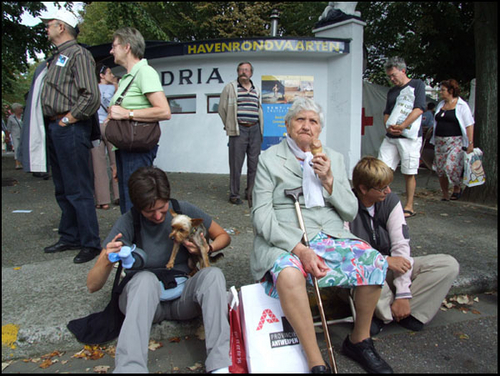 Click to begin slideshow DSCF8573.jpg