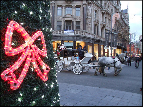 DSCF8580.jpg