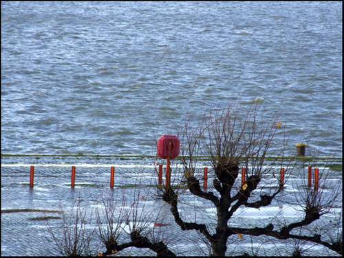 DSCF8605.jpg