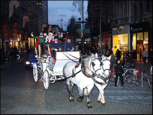 DSCF8608.jpg