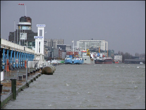 DSCF8754.jpg