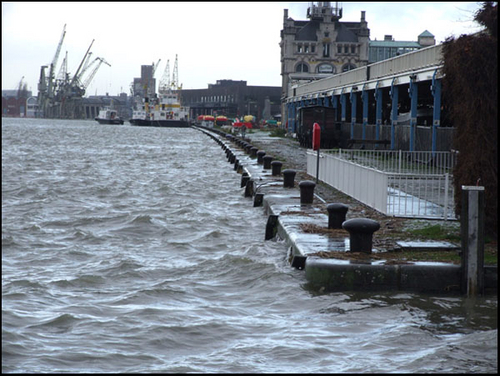 DSCF8775.jpg