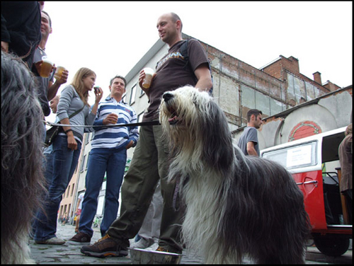 DSCF8823.jpg
