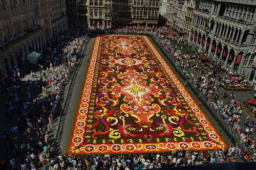 Click to begin slideshow DSC_0020.jpg