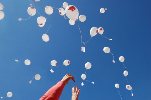 Click to begin slideshow DSC_0422.jpg