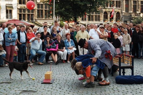 Click to begin slideshow DSC_2004.jpg