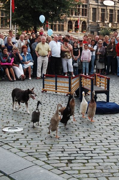 Click to begin slideshow DSC_2007.jpg