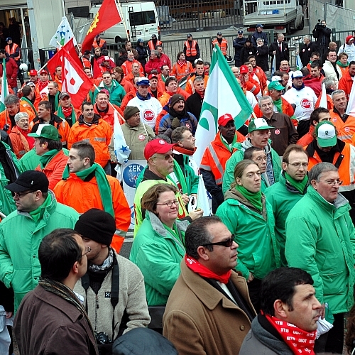 DSC_3499_500.JPG